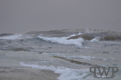 Screenshot-from-2018-01-06-18-03-16_PWP