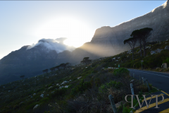 First sunrise as a Capetonian.