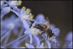 PWP-choice-assortment-01