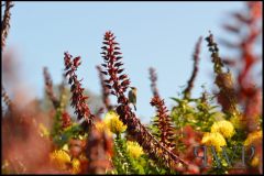 PWP-choice-assortment-06