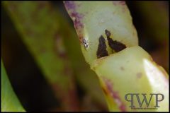 PWP-choice-assortment-07