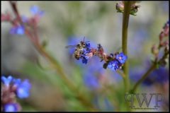 PWP-choice-assortment-09