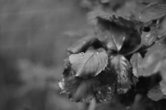 Screenshot-from-2017-10-01-19-22-04