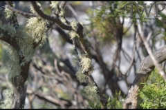 PhilipWoitePhotography_DSC_0298_1_1