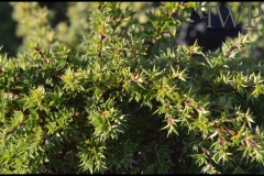 PhilipWoitePhotography_DSC_0302_1_1