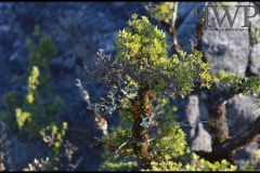 PhilipWoitePhotography_DSC_0306_1_1