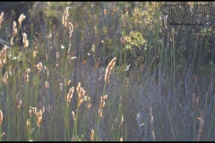 PhilipWoitePhotography_DSC_0328_1_1