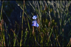 PhilipWoitePhotography_DSC_0341_1_1
