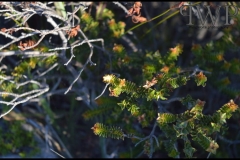 PhilipWoitePhotography_DSC_0346_1_1