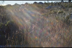 PhilipWoitePhotography_DSC_0354_1_1