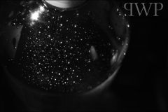 involuntaryisolation-800px-PWP_12