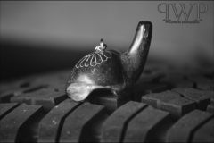 involuntaryisolation-800px-PWP_16