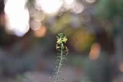 DSC_0034_scaled_800